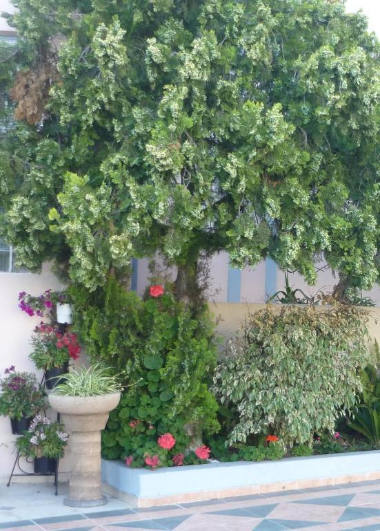 Rainbow Hotel Rhodes City Extérieur photo